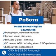 Робота на харчовому виробництві з безкоштовним проживанням у с. Щаслив